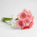 Wholesales 10 Pink Gerbera