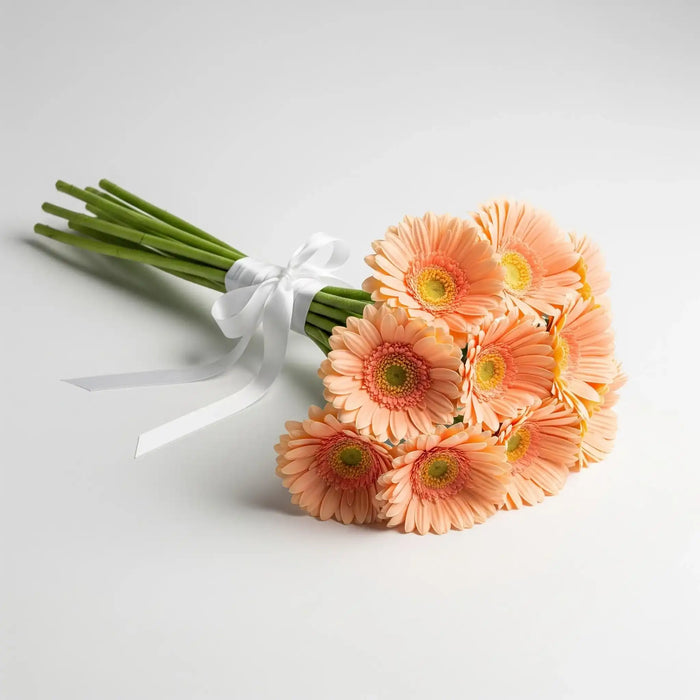 Wholesales 10 Peach Gerbera