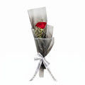 Single Red Rose