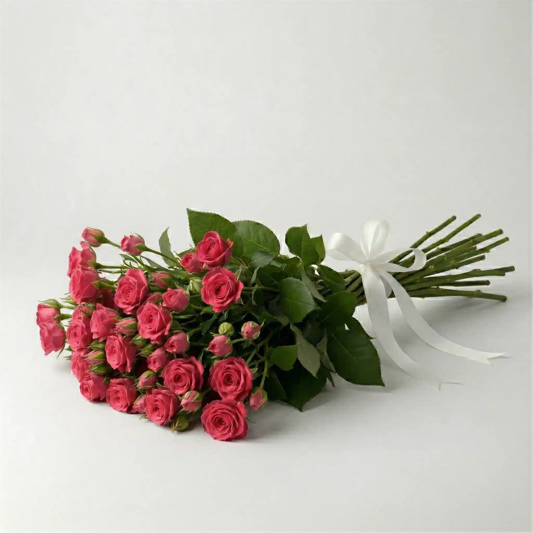 Pink Baby Rose Wholesale