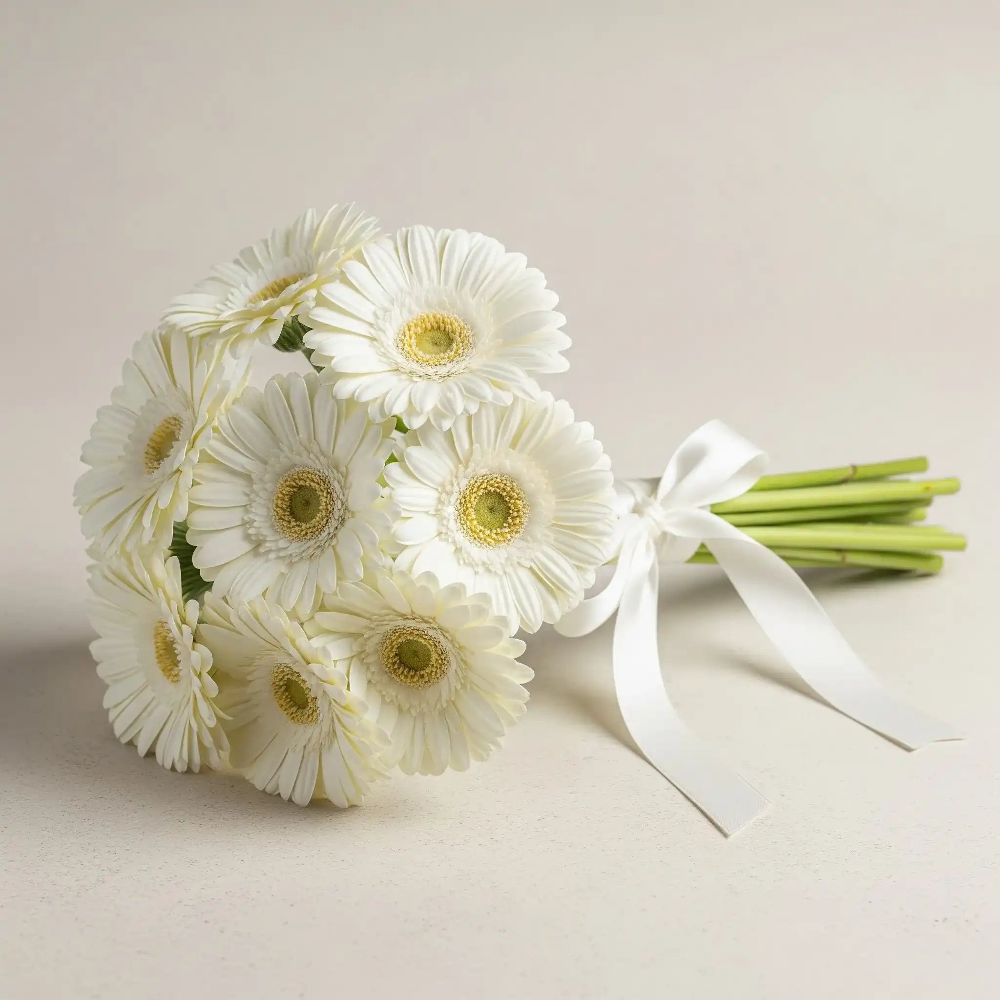 Wholesales 10 White Gerbera