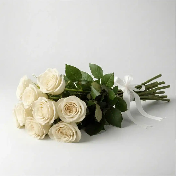 Wholesales 10 White Roses