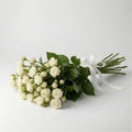 White Baby Rose Wholesale