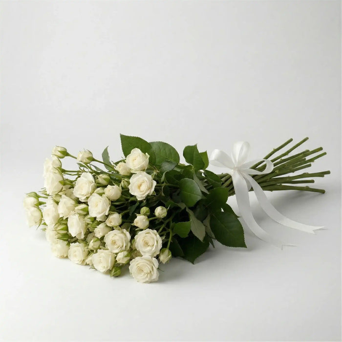 White Baby Rose Wholesale